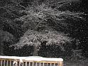 2008-12-20_Snow_Storm 061